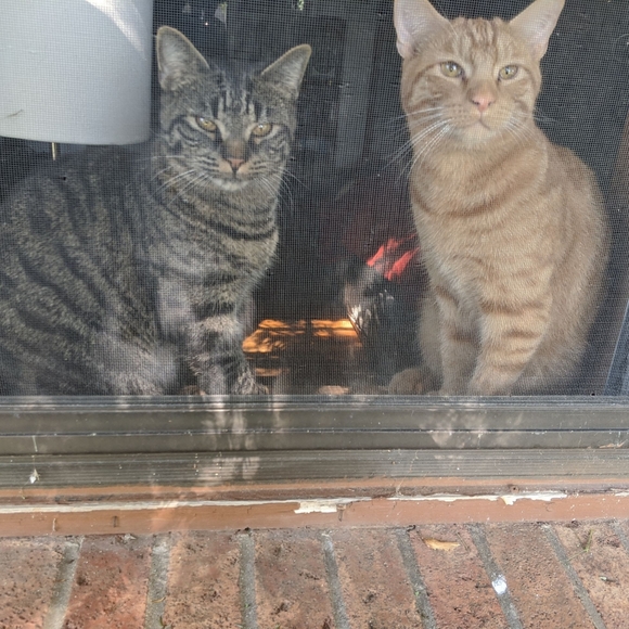 Meet the Posher - Picture 2 of 5